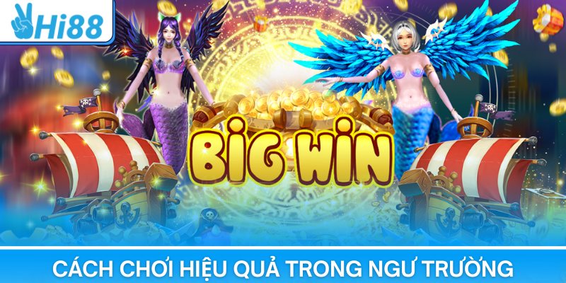 Cách chơi hiệu quả trong ngư trường